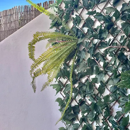 Ocean View Haven, Perla Del Mar אדחה