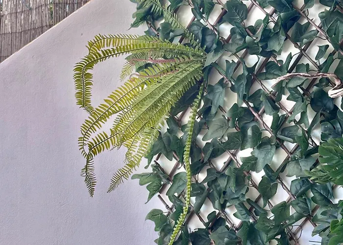 Ocean View Haven, Perla Del Mar אדחה