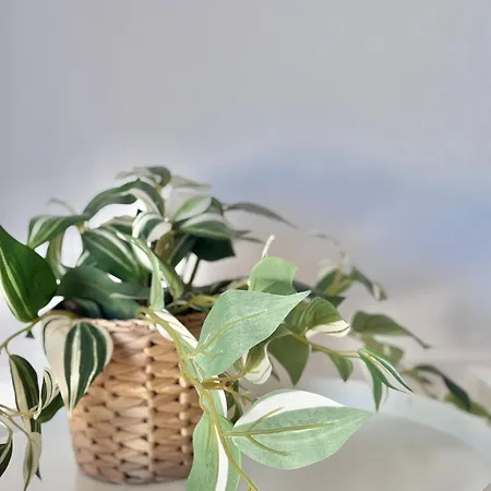 Ocean View Haven, Perla Del Mar Apartmán Costa Adeje (Tenerife)