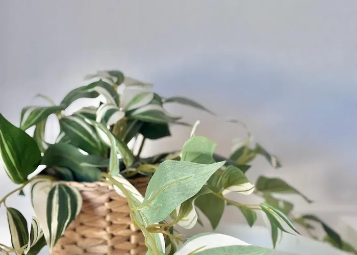 Ocean View Haven, Perla Del Mar Apartment Costa Adeje (Tenerife)