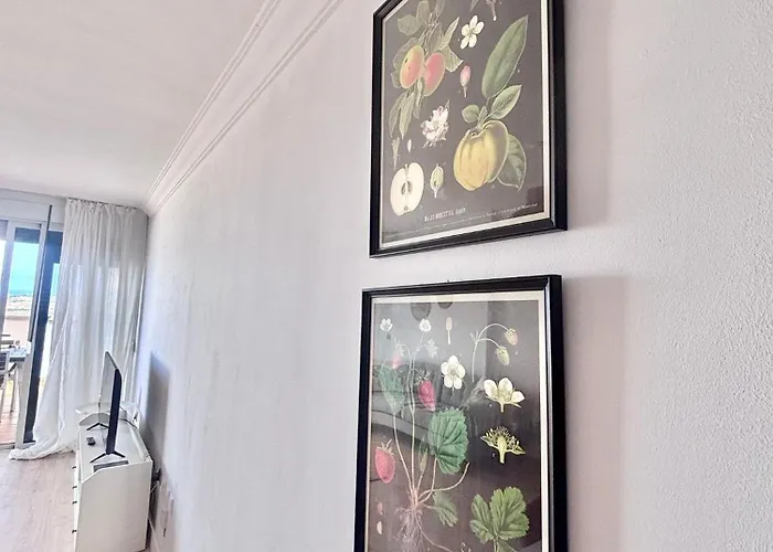 Ocean View Haven, Perla Del Mar